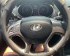 Hyundai Tucson 2010 - Cần bán Hyundai Tucson 2010, nhập khẩu nguyên chiếc