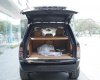 LandRover SV Autobiography 3.0 2020 - Bán LandRover Range Rover SV Autobiography 3.0 năm sản xuất 2020, màu đen, xe nhập