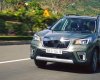 Subaru Forester   2.0 Eyesight  2019 - Cần bán Subaru Forester 2.0 Eyesight 2019, nhập khẩu nguyên chiếc