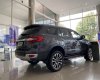 Ford Everest   2019 - Bán ô tô Ford Everest sản xuất 2019, màu xám, nhập khẩu