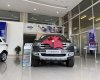 Ford Everest   2019 - Bán ô tô Ford Everest sản xuất 2019, màu xám, nhập khẩu