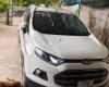 Ford EcoSport 2016 - Bán ô tô Ford EcoSport năm sản xuất 2016, màu trắng, xe nhập, 480 triệu