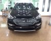 Hyundai Santa Fe     2017 - Cần bán Hyundai Santa Fe năm 2017, màu đen, 995 triệu