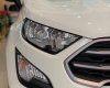 Ford EcoSport   1.5 Titanium  2020 - Bán Ford EcoSport 1.5 Titanium năm sản xuất 2020, màu trắng