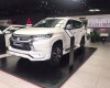 Mitsubishi Pajero Sport 2020 - Bán nhanh giá ưu đãi khi mua chiếc Mitsubishi Pajero Sport Diesel MT, đời 2020, nhập khẩu nguyên chiếc