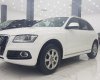 Audi Q5 2013 - Cần bán Audi Q5 đời 2014, màu trắng, nhập khẩu, 950 triệu