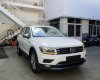 Volkswagen Tiguan 2018 - Cần bán Volkswagen Tiguan Allspace - SUV 7 chỗ, xe Đức nhập khẩu chính hãng