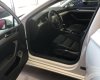 Volkswagen Passat 2019 - Bán xe Pasat Bluemotion Comfort, sedan hạng D nhập khẩu nguyên chiếc từ Đức