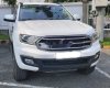 Ford Everest 2018 - Bán Ford Everest đời 2018, màu trắng, nhập khẩu