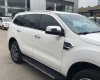 Ford Everest 2019 - Cần bán lại xe Ford Everest năm sản xuất 2019, màu trắng, nhập khẩu nguyên chiếc
