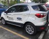 Ford EcoSport 2019 - Thanh lý chiếc xe Ford EcoSport, sản xuất 2019, màu trắng, siêu lướt, giá thấp