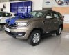 Ford Everest   2019 - Cần bán xe Ford Everest 2019, nhập khẩu nguyên chiếc