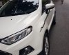 Ford EcoSport  Titatium AT   2017 - Bán xe Ford EcoSport Titatium AT 2017, màu trắng