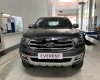 Ford Everest   2020 - Bán Ford Everest đời 2020, màu xám, nhập khẩu