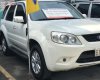 Ford Escape XLT 2.3L 4x4 AT 2010 - Bán xe Ford Escape XLT 2.3L 4x4 AT năm sản xuất 2010, màu trắng 