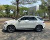 Mercedes-Benz GLE-Class 2019 - Cần bán lại xe Mercedes GLE450 4Matic năm 2019, màu trắng, nhập khẩu nguyên chiếc