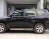 Toyota Prado  TXL  2009 - Bán Toyota Prado TXL đời 2009, màu đen