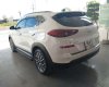 Hyundai Tucson   2019 - Bán Hyundai Tucson đời 2019, màu trắng, nhập khẩu