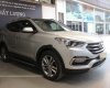 Hyundai Santa Fe 2018 - Cần bán Hyundai Santa Fe sản xuất 2018