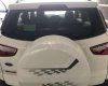 Ford EcoSport   2017 - Bán xe Ford EcoSport đời 2017, odo 130.000km