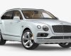 Bentley Bentayga 3.0 Hybrid 2022 - Bentley Bentayga 3.0 Hybrid đời 2022, màu xanh, giá tốt nhất toàn quốc