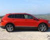 Volkswagen Tiguan Offroad 2020 - Bán ô tô Volkswagen Tiguan Offroad 2020, màu đỏ, nhập khẩu