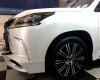 Lexus LX LX570 V8 5.7L 2020 - Bán Lexus LX570 V8 5.7 2020 nhập khẩu Mỹ