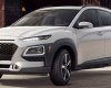 Hyundai Hyundai khác 2020 - Bán Hyundai Kona ưu đãi khủng, xe sẵn - đủ màu - giao ngay, tặng full phụ kiện, hỗ trợ ngân hàng