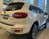Ford Everest 2021 - Cần bán Ford Everest Titanium 4x4, trả góp 80%, tại Ninh Bình