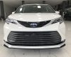 Toyota Sienna Platinum 2021 - Bán Xe Toyota Sienna Platinum xe xuất Mỹ nhập mới 100% sản xuất năm 2021