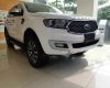 Ford Everest 2021 - Bán ô tô Ford Everest đăng ký lần đầu 2021 nhập khẩu nguyên chiếc, giá tốt 1 tỷ 181tr