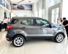 Ford EcoSport 2021 - Ford Ecosport 2021 - Mẫu xe mới nhất cùng hàng ngàn ưu đãi hấp dẫn