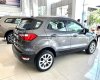 Ford EcoSport 2021 - Ford Ecosport 2021 - Mẫu xe mới nhất cùng hàng ngàn ưu đãi hấp dẫn