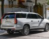 Cadillac Escalade ESV Platinum 2021 - Xe giao ngay Cadilac Escalede ESV Luxury 3.0 Diesel nhập mới 2021