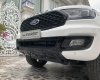 Ford Everest 2021 - Bán ô tô Ford Everest đăng ký lần đầu 2021 nhập khẩu nguyên chiếc, giá tốt 1 tỷ 181tr