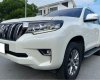 Toyota Prado 2020 - Bán Toyota Prado đời 2020, màu trắng, xe nhập  