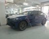 BMW X4   2020 - Bán BMW X4 đời 2020, màu xanh lam, nhập khẩu  