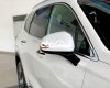 Hyundai Santa Fe Premium  2021 - Bán xe Hyundai Santa Fe Premium đời 2021, màu trắng, nhập khẩu, giá 900tr