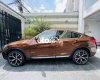 BMW X4    2016 - Bán xe BMW X4 năm 2016, màu nâu còn mới
