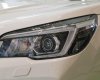 Subaru Forester IS Eyesight 2021 - [Siêu hot] Subaru Giải Phóng bán Forester IS Eyesight 2021, nhập khẩu, ưu đãi tặng 100% thuế trước bạ, trả góp từ 350tr
