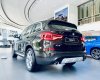 BMW X3 2020 - [Hồ Chí Minh] cần bán xe BMW X3 xDrive20i  năm sản xuất 2020, tặng 1 năm bảo hiểm vật chất, đủ màu, giao ngay