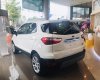 Ford EcoSport 2021 - [Cần Thơ Ford] Ford EcoSport + sẵn xe giao ngay + phụ kiện chính hãng + chỉ cần trả trước 160tr có xe đi ngay