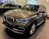 BMW X5 2021 - Bán xe BMW X5 năm sản xuất 2021, nhập khẩu nguyên chiếc