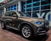 BMW X5 2021 - Bán xe BMW X5 năm sản xuất 2021, nhập khẩu nguyên chiếc