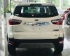 Ford EcoSport 2021 - [Cần Thơ Ford] Ford EcoSport + sẵn xe giao ngay + phụ kiện chính hãng + chỉ cần trả trước 160tr có xe đi ngay