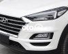 Hyundai Tucson 2020 - Bán ô tô Hyundai Tucson sản xuất 2020, màu trắng, giá chỉ 723 triệu