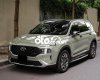 Hyundai Santa Fe 2021 - Bán Hyundai Santa Fe đời 2021, 1000tr