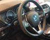 BMW X3   xDrive20i 2020 - Cần bán xe BMW X3 xDrive20i đời 2020, màu xanh lam, xe nhập