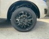 Ford Everest 2021 - Ưu đãi khủng, hỗ trợ vay 85% - Ford Everest 2021 - Đủ màu nhận xe ngay, tặng quà lên đến hàng trăm triệu đồng