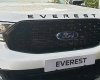 Ford Everest 2021 - Ưu đãi khủng, hỗ trợ vay 85% - Ford Everest 2021 - Đủ màu nhận xe ngay, tặng quà lên đến hàng trăm triệu đồng